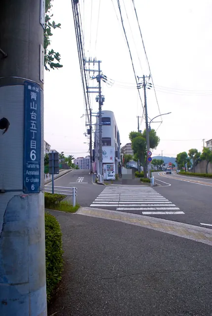 「青山台五丁目」の電柱の先に、横断歩道と並木のある交差点