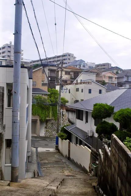 電柱と植木のあいだを、くねくねと下っていく坂道
