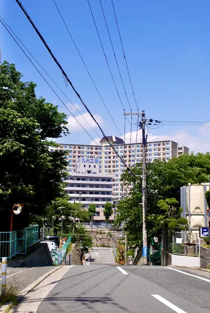 大きな木の茂る交差点の先に、白い団地が見える風景