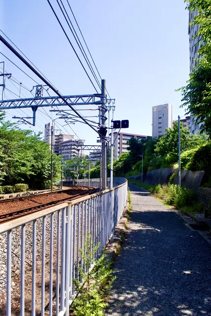 線路のフェンスに沿って続く、緑の茂る細い道