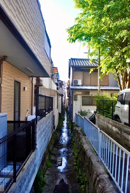 家々に挟まれて流れる細い水路