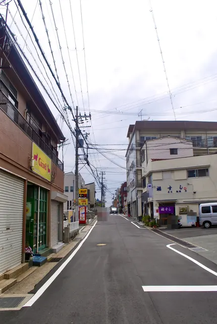ペットショップの店先から、寿司屋の見える交差点を望む通り