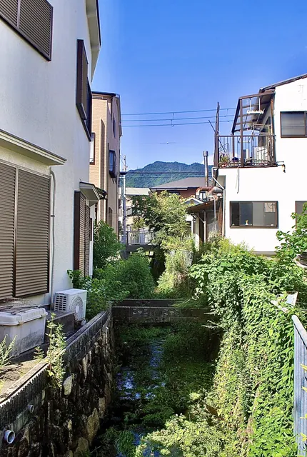 家と家のあいだを流れる緑の茂る水路と、奥に見える山並み