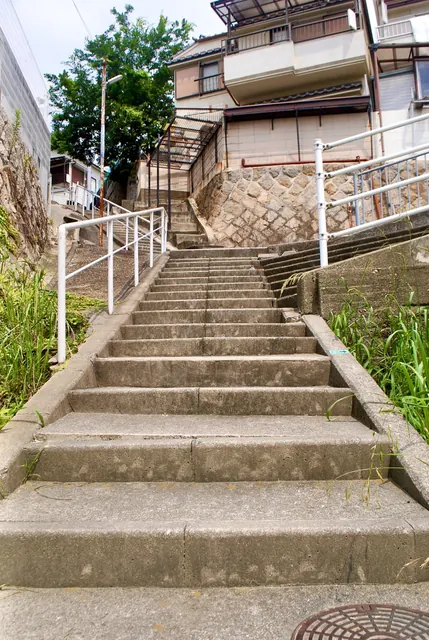 石垣と手すりに挟まれ、まっすぐ上へ続く広い階段