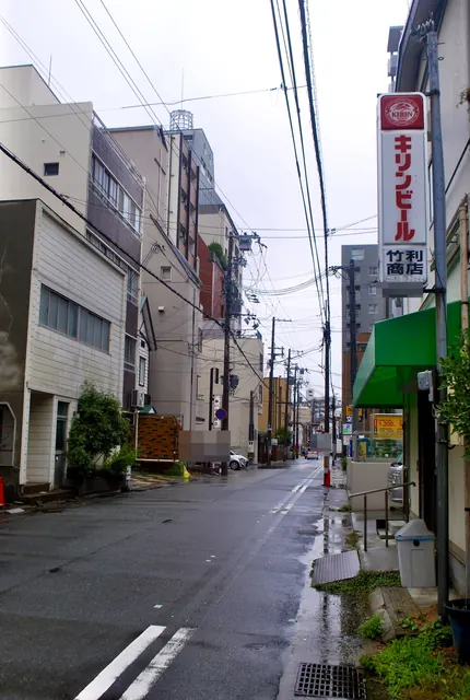 縦長の看板と緑の日よけが並ぶ、奥へ続く通り