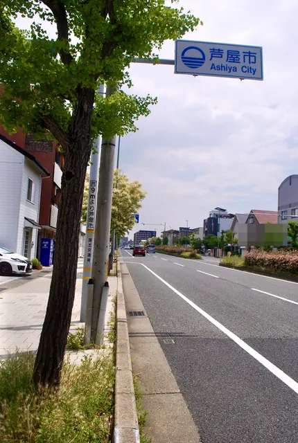 青い「芦屋市」の標識と、銀杏並木の続く大通り