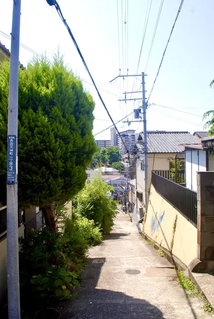 大きな木の脇を、団地の見える方へ下る坂の路地