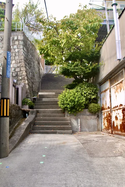 石垣に挟まれた石段が、木の茂る奥へと上っていく路地