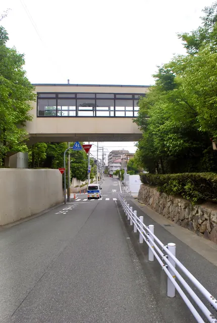 建物をつなぐ渡り廊下の下を、まっすぐ続く道