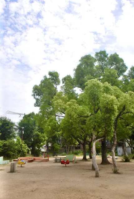 大きな木が並び、木陰の広がる公園の広場