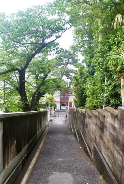 大きな木々の下、塀に沿って下っていく細い坂道