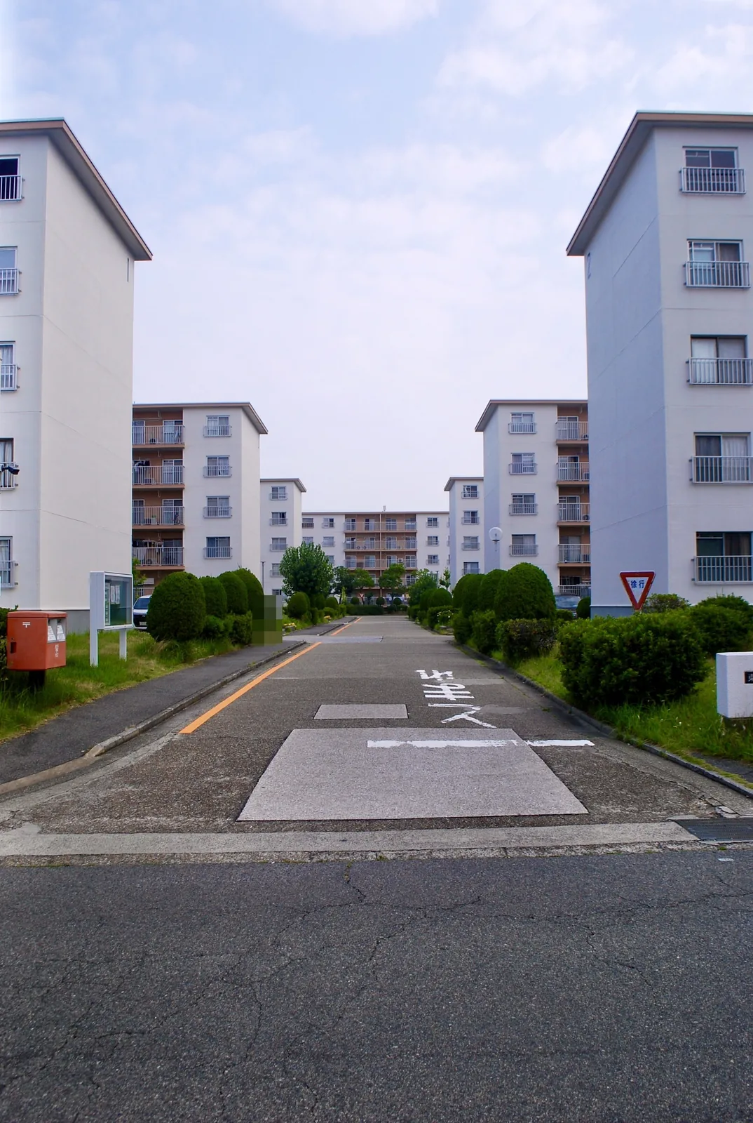 白い団地の建物が両側に並ぶ、まっすぐな団地の中の道