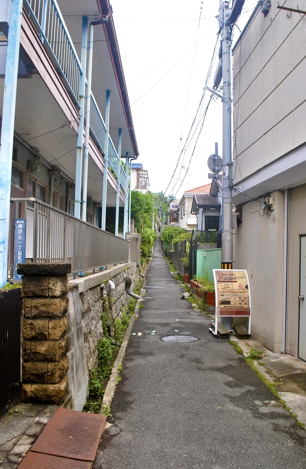 アパートの手すりと石垣のあいだを、奥へ続く細い路地