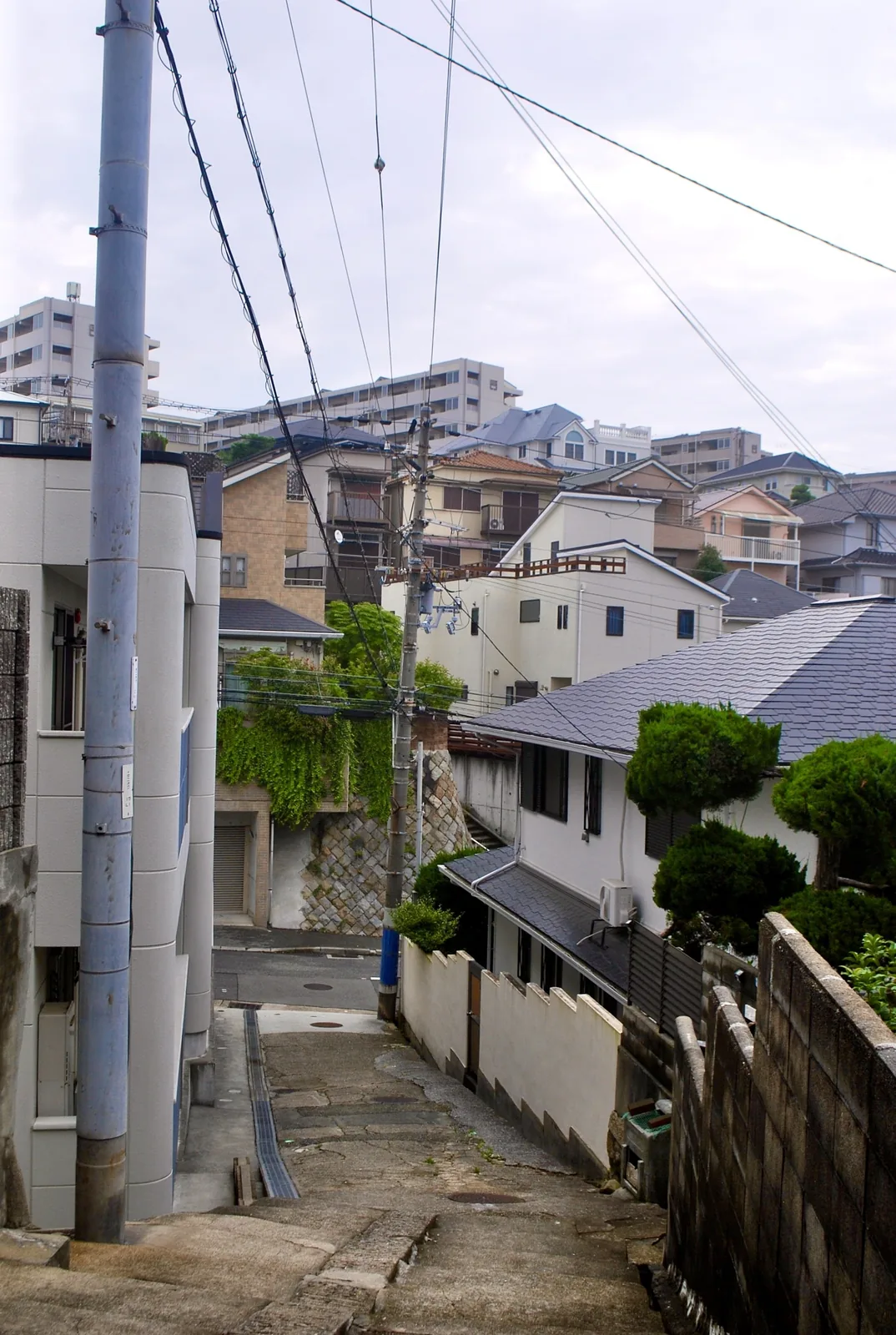 電柱と植木のあいだを、くねくねと下っていく坂道