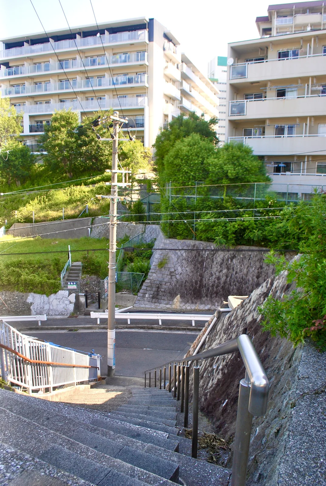 石段の上から、木々とマンションを見渡す風景