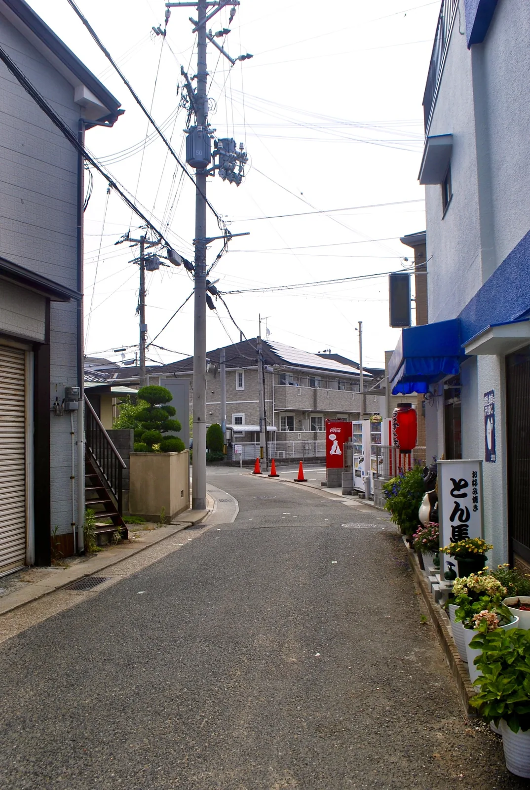 「お好み焼 とん馬」の看板と赤い提灯、花の鉢植えが並ぶ道