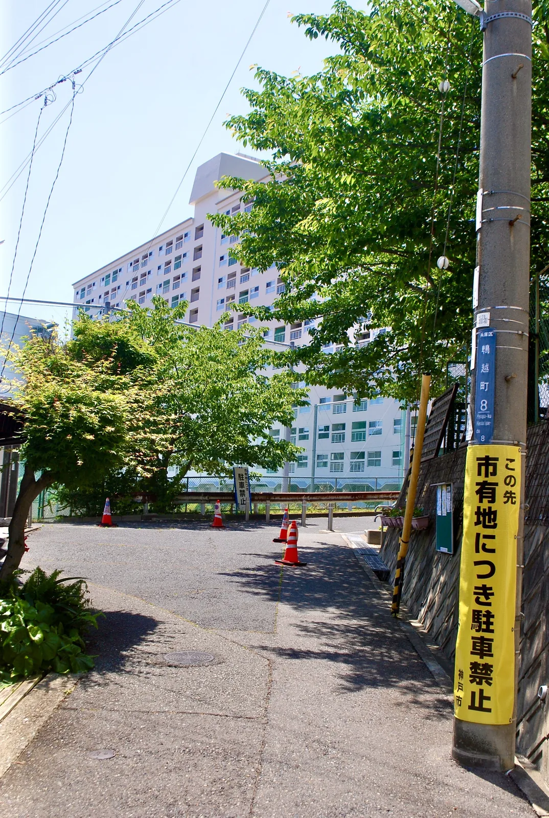 町名表示のある電柱と、木陰の道の奥にそびえる団地
