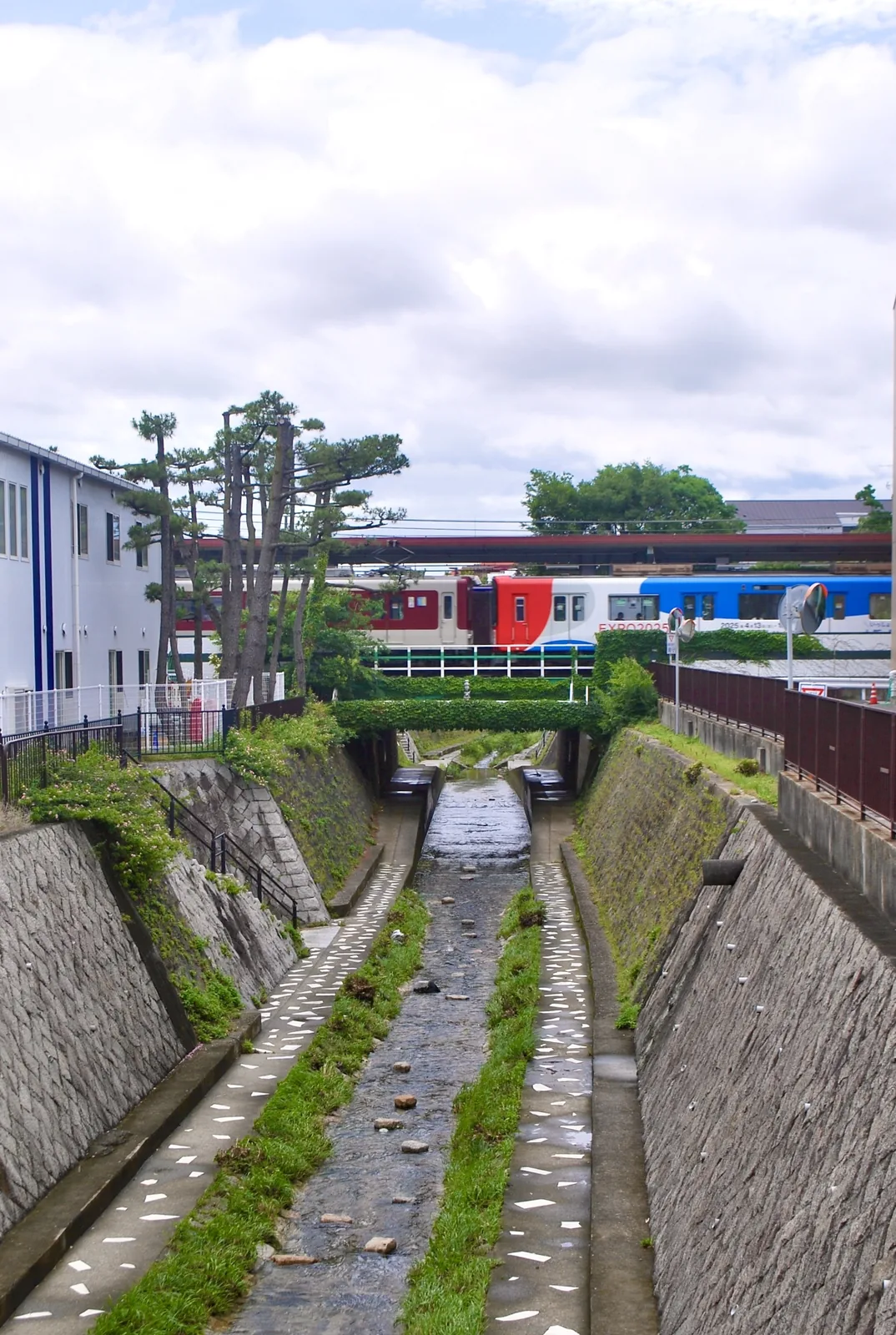 松の木の並ぶ川の向こうを、赤と青の阪神電車が走る風景