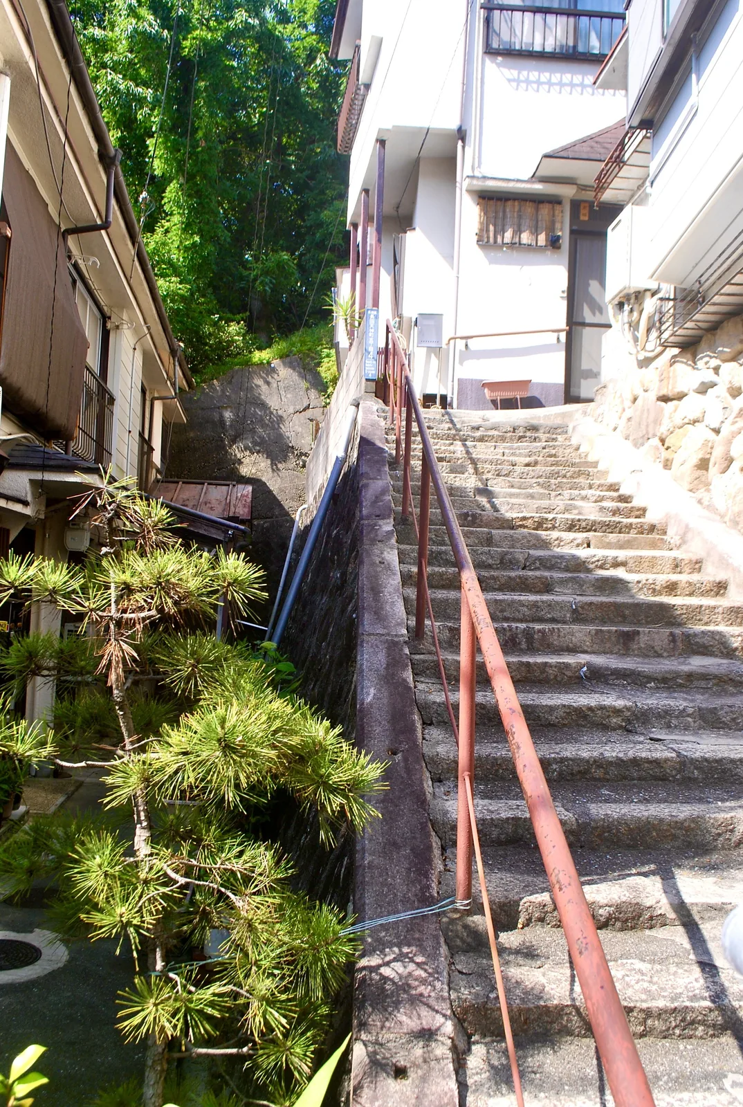 松の木の脇を、赤い手すりに沿って上る石段