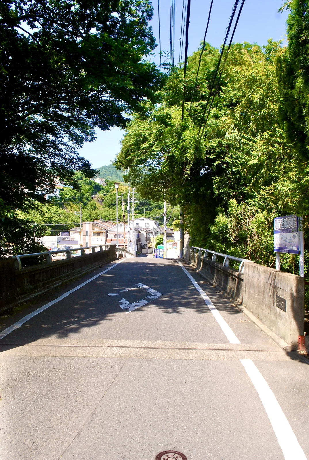 大きな木々に囲まれ、まっすぐ続く橋の道