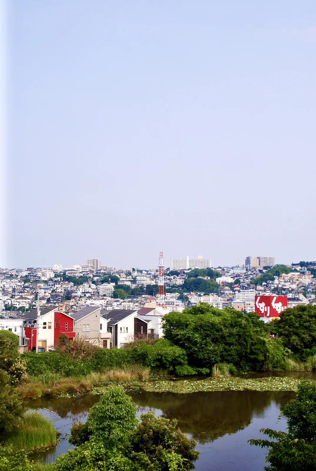 木々に囲まれた池の向こうに、丘一面の家並みが広がる風景