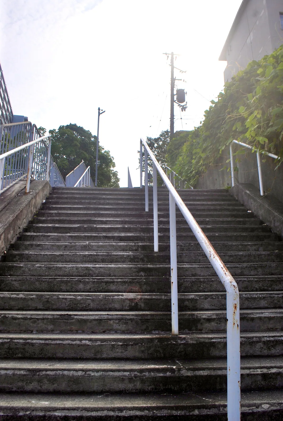 白い手すりに沿って、上へまっすぐ続く長い階段