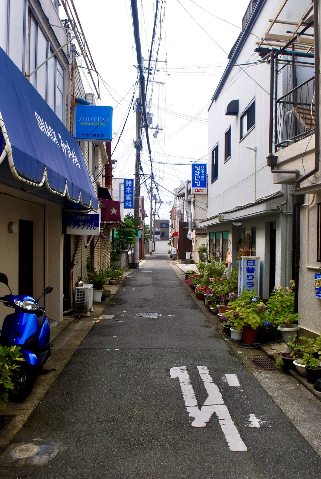 スナックや喫茶の看板と、花の鉢植えが並ぶ細い路地