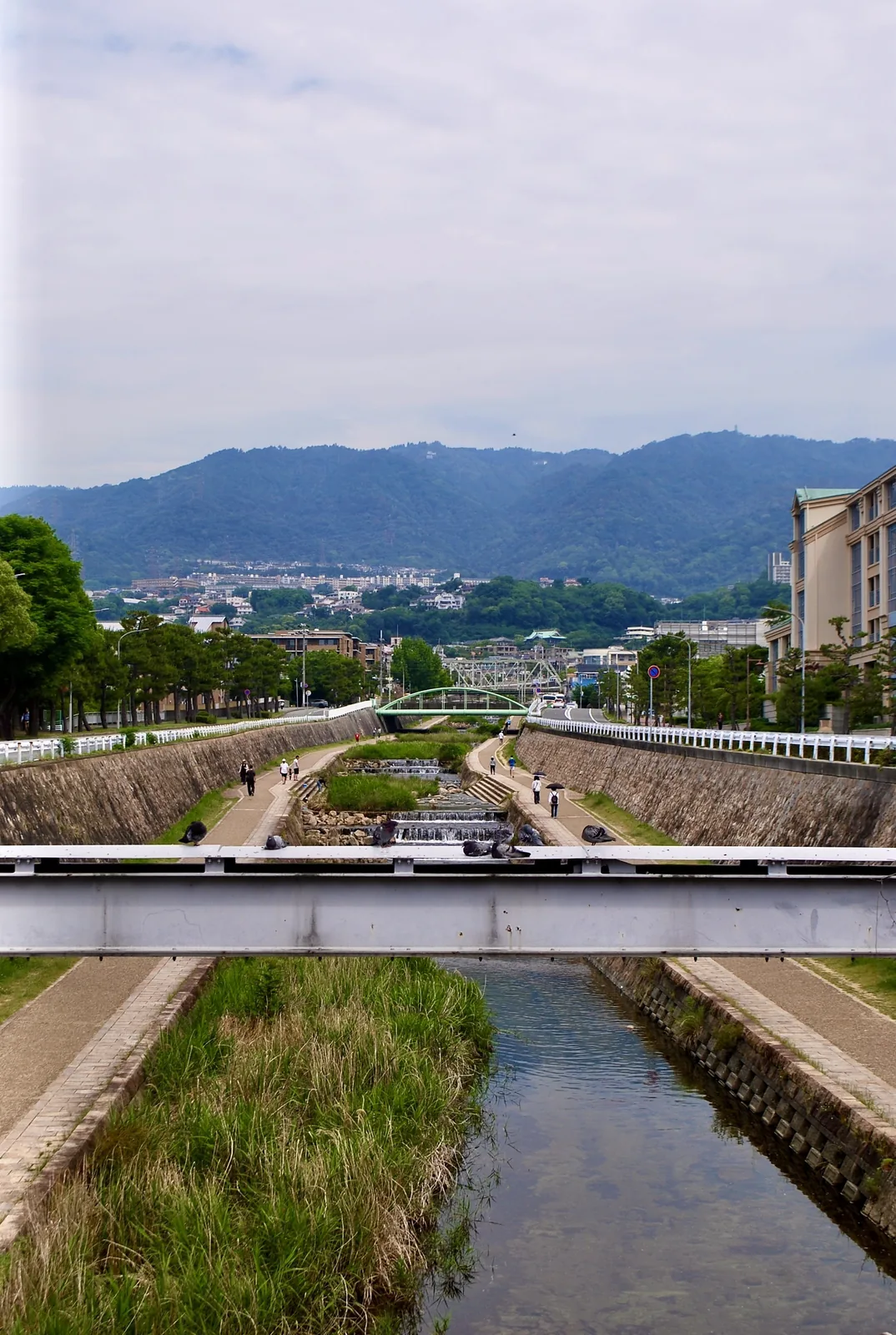 六甲の山並みを背に、遊歩道の続く住吉川を見下ろす風景