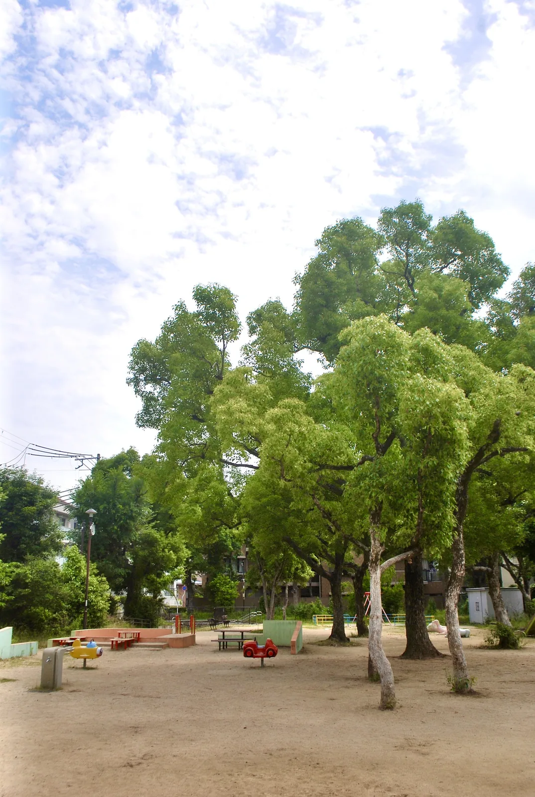 大きな木が並び、木陰の広がる公園の広場