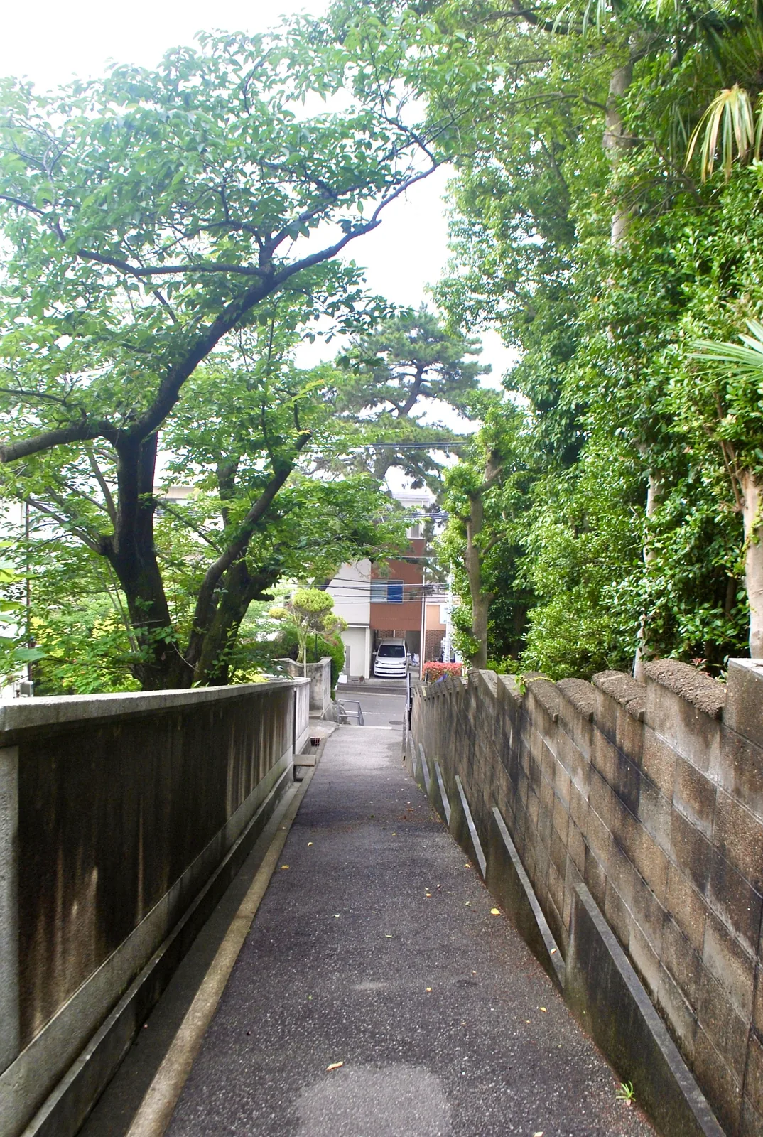 大きな木々の下、塀に沿って下っていく細い坂道