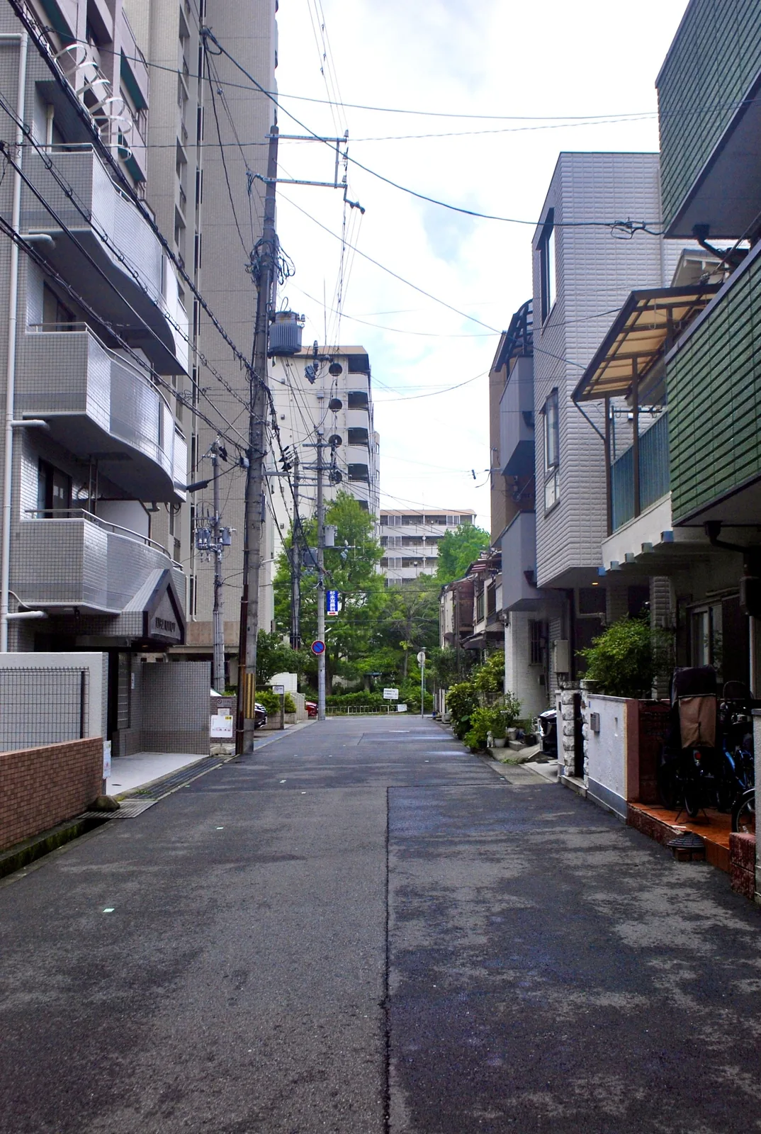 マンションと家々に挟まれ、奥の木々へ続く住宅街の道